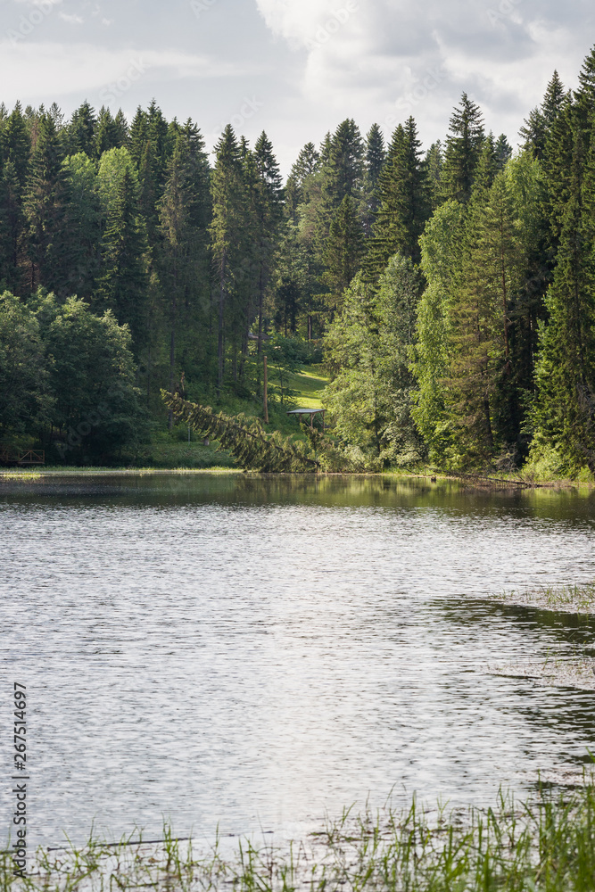 Beautiful secluded quiet place on the lake with a coniferous forest on a warm summer day