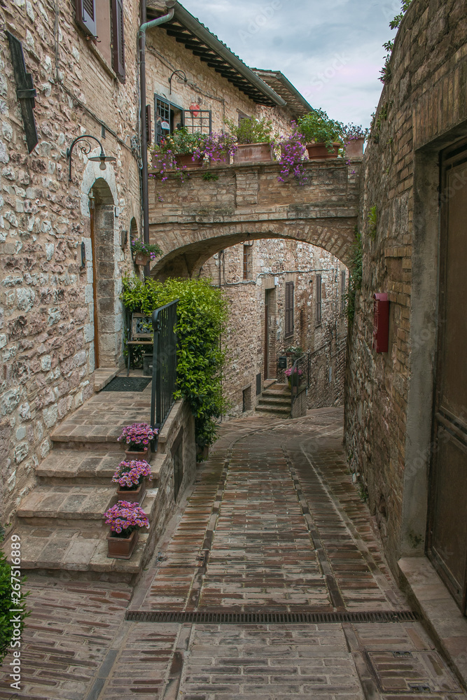 Vicolo con fiori nel borgo medievale di Spello in Umbria