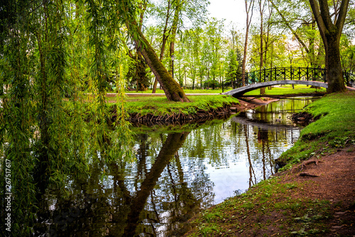 Beautiful summer spring landscape in a city park with a lake stream among green trees on a sunny day, summer spring background