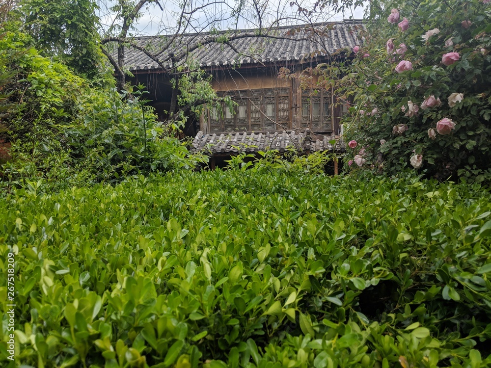 Green Garden at Lijiang old town Green Garden at Lijiang old town