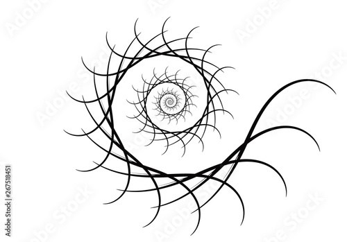 Spiral vector design elements. Abstract lines black and white. Swirl background.