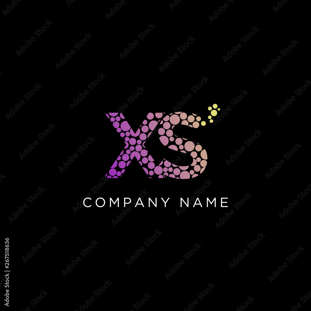 xS Initial Letter Gradient Logo  Vector , Modern and trending circle design