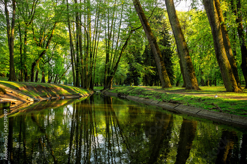 Fototapeta Naklejka Na Ścianę i Meble -  Beautiful summer spring landscape in a city park with a lake stream among green trees on a sunny day, summer spring background