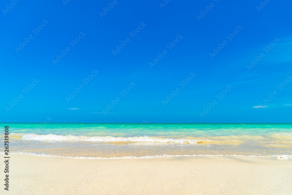 Obraz premium An Amazing tropical beach