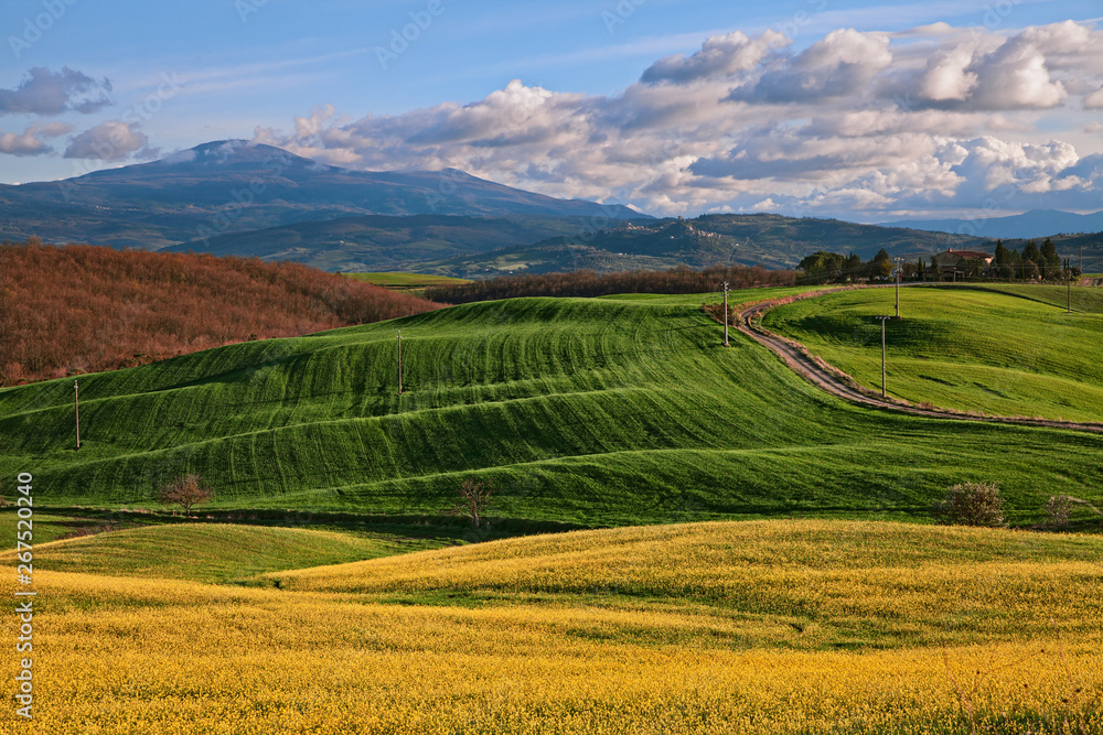 Pienza, Siena, Tuscany, Italy: landscape of the Val d'Orcia countryside