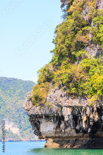 Limestone cliff and stalactites