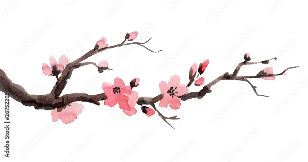 Watercolor sakura branch - obrazy, fototapety, plakaty 