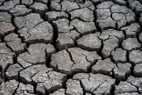  Dry and cracked soil