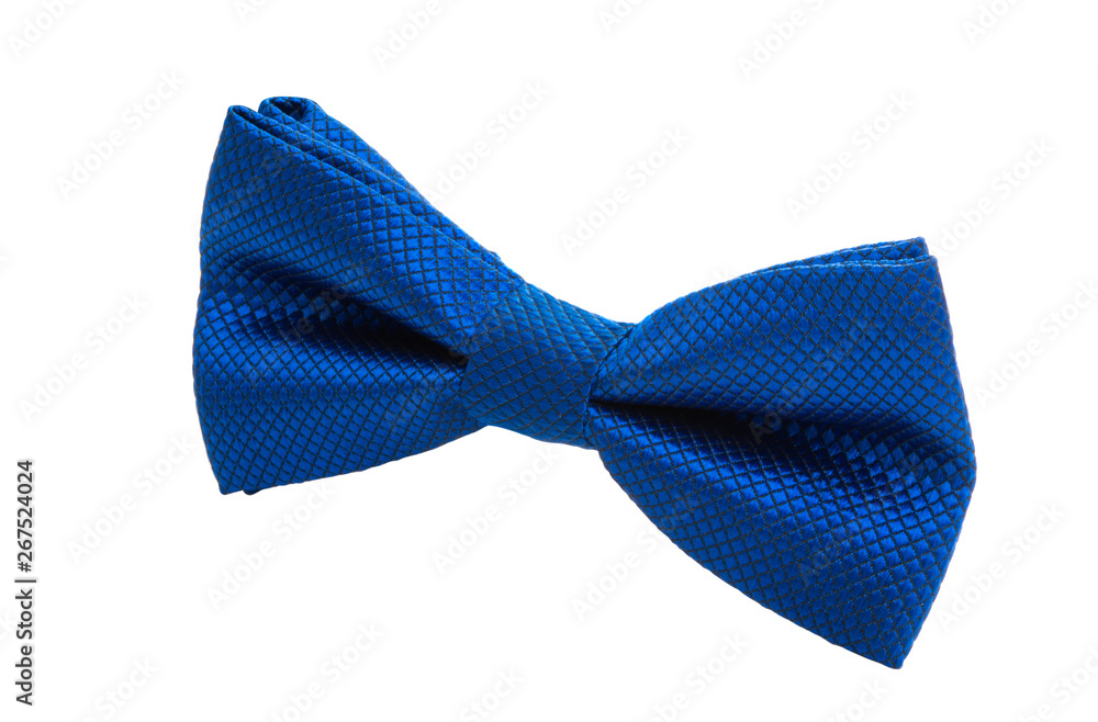 men's tie butterfly isolated men's tie butterfly isolated