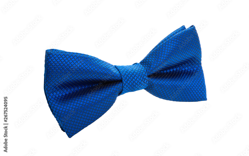 men's tie butterfly isolated men's tie butterfly isolated