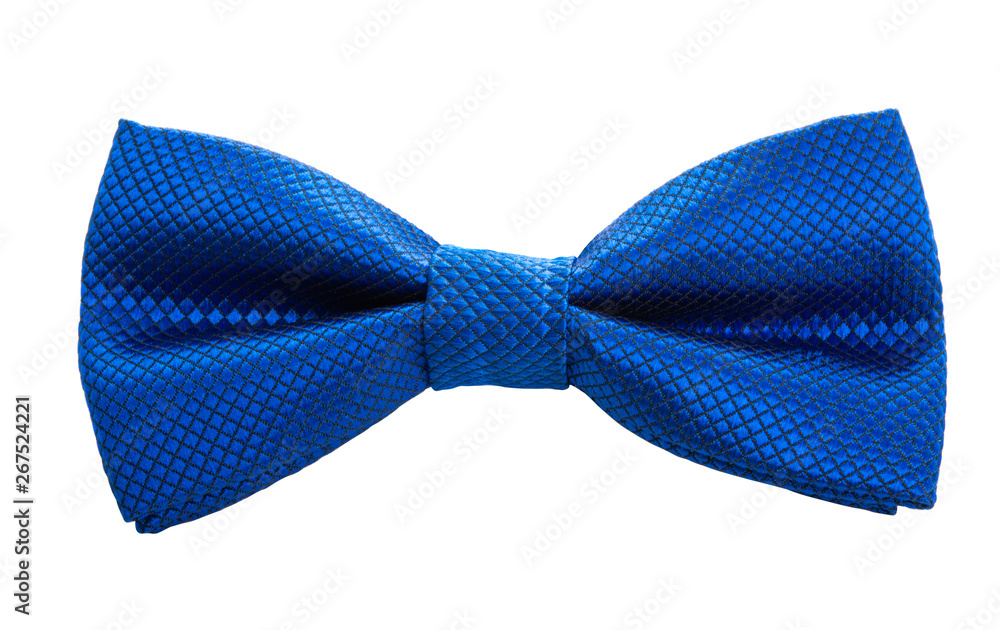 men's tie butterfly isolated men's tie butterfly isolated
