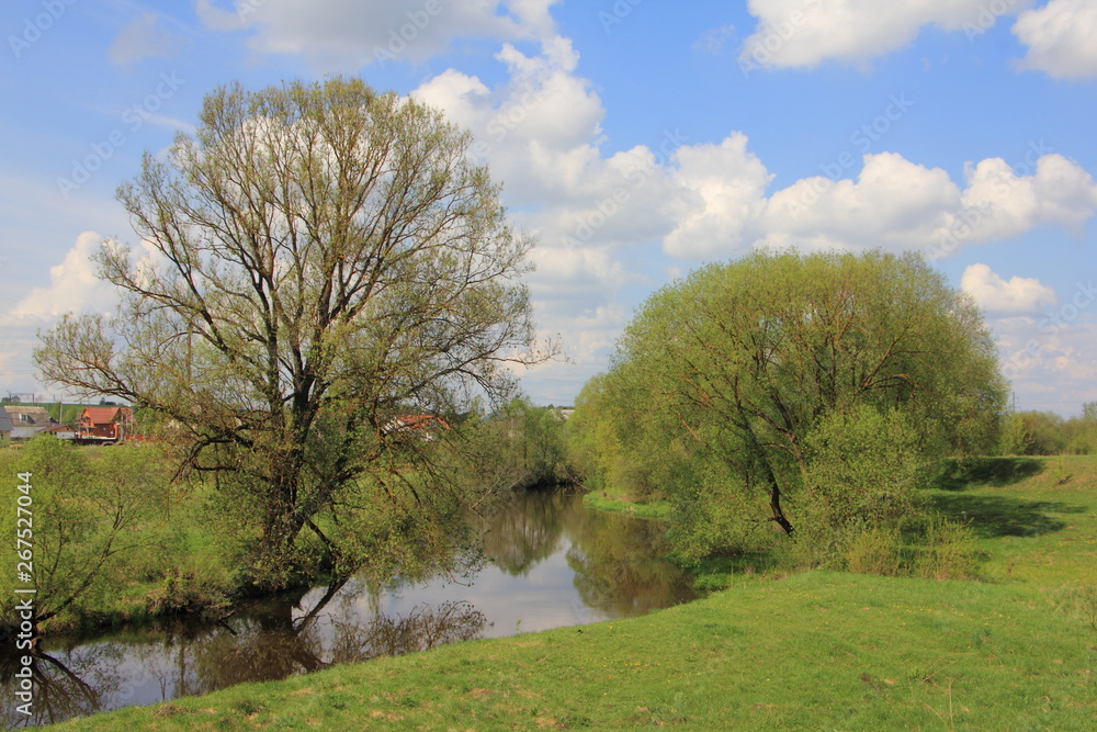 Beautiful small river with picturesque trees on the banks against the blue sky on a summer day - European natural landscape
