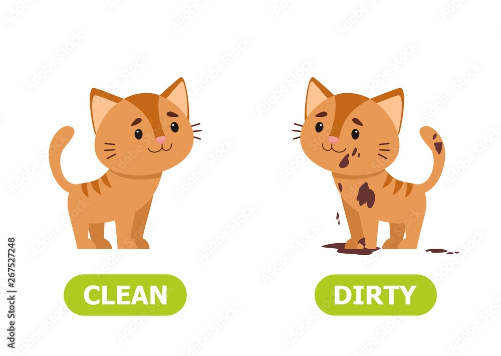 Kitty dirty and clean. Illustration of opposites dirty and clean..Card ...