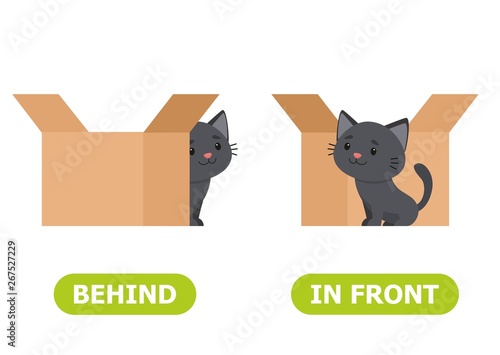 Сat is standing in front of the box and behind the box. Illustration of opposites in front and behind.  Card for teaching aid, for a foreign language learning. Vector illustration on white background.