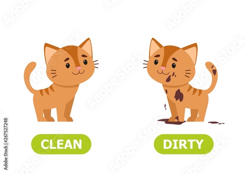 Kitty dirty and clean. Illustration of opposites  dirty and clean..Card for teaching aid, for a foreign language learning. Vector illustration on white background..