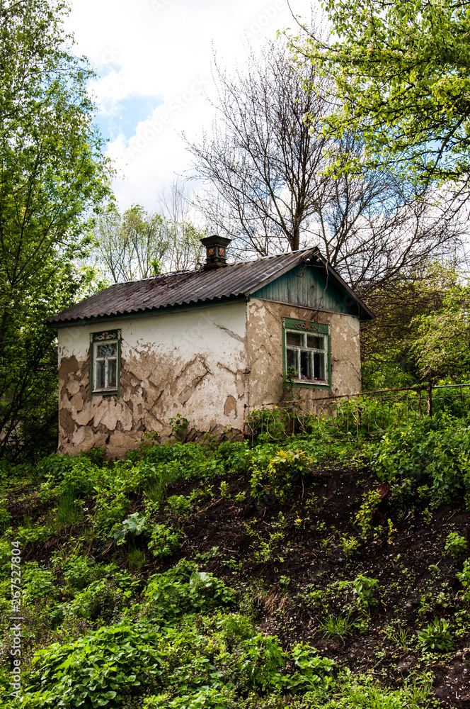 Fototapeta premium old abandoned house among the thickets of greenery