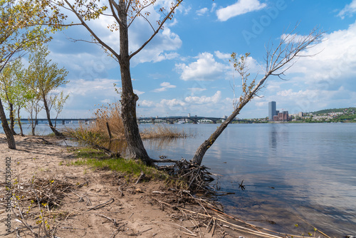 Beautiful summer river landscape - sandy river bank with reeds and trees and a blue sky with clouds, the city and the bridge on the other bank