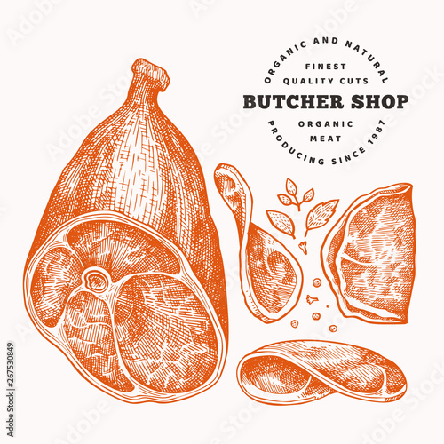Vintage vector meat illustration. Hand drawn ham, ham slices, spices and herbs. Raw food ingredients. Retro sketch. Can be use for label, restaurant menu.