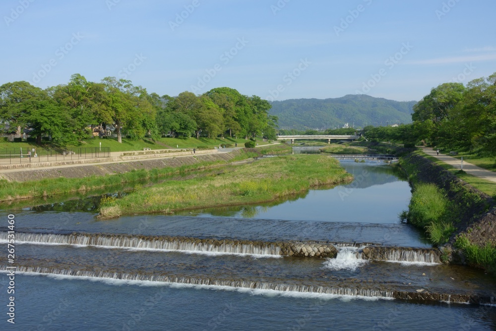 京都の鴨川、新緑の景色