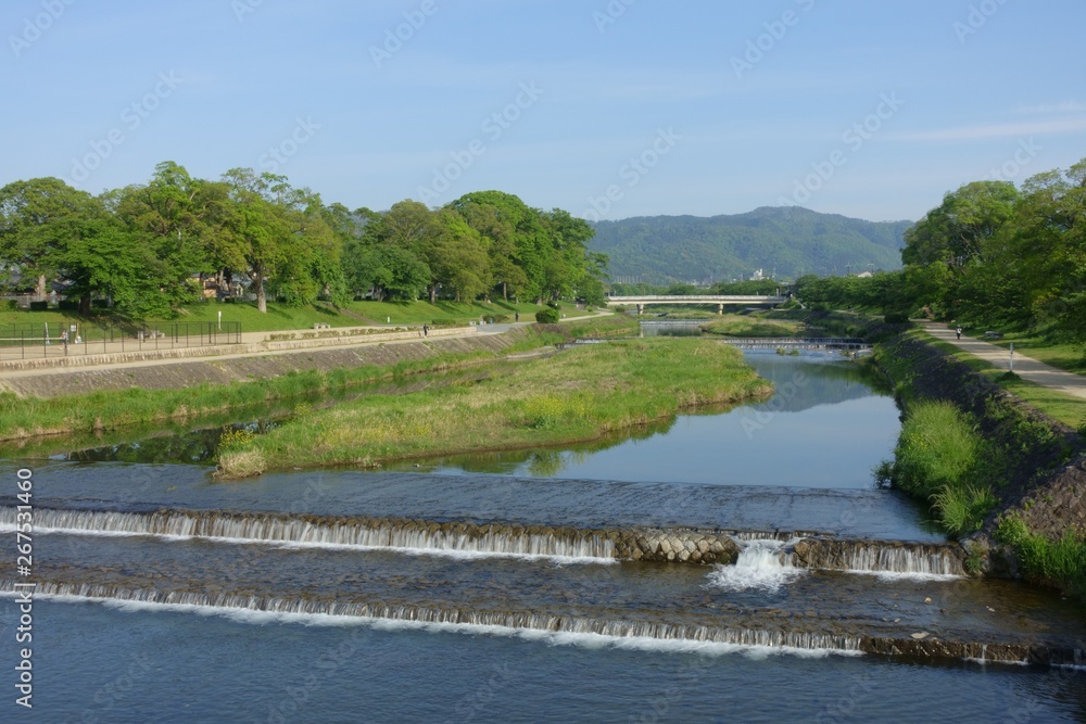 京都の鴨川、新緑の景色 京都の鴨川、新緑の景色