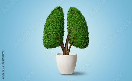 Lungs Shape Tree - Ecology concept