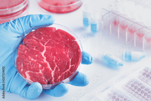 Meat sample in open  disposable plastic cell culture dish in modern laboratory