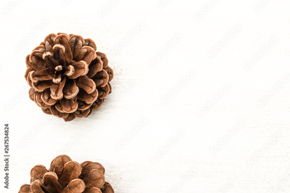 Pine cones on a white background Free text space