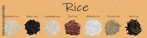 Rice set black, red, basmati, brown, wild, parboiled, arborio. 3D vector illustration, rice close up.