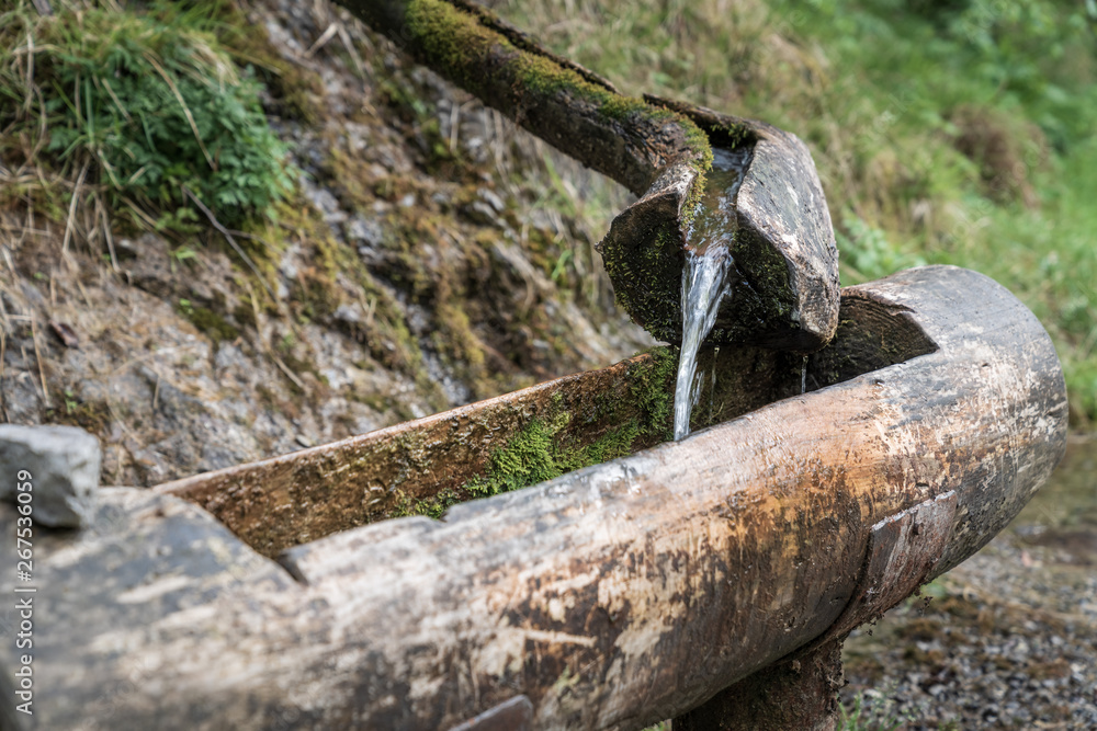 Mountain natural water spring out of wooden gutter from rocky creek at the Vertova torrent near Bergamo. Mountain natural water spring out of wooden gutter from rocky creek at the Vertova torrent near Bergamo.