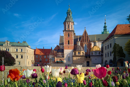 Morning view of the Wawel cathedral and Wawel castle on the Wawel Hill, Krakow photo