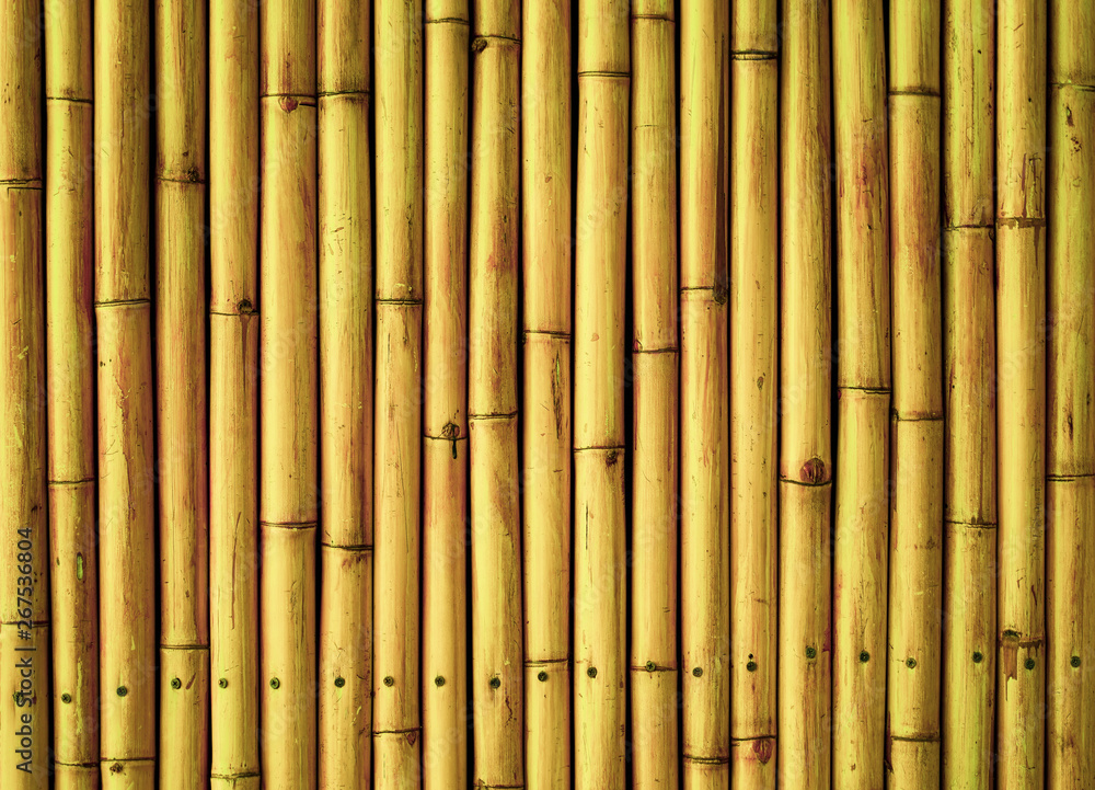 Fototapeta premium old brown tone bamboo plank fence texture for background