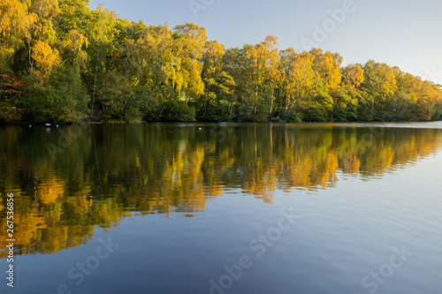 The Coppice Pond in Bingley St Ives  Yorkshire  is a favourite spot for people to relax especially on a tranquil autumn day when the colour of the trees reflects vibrantly in the water