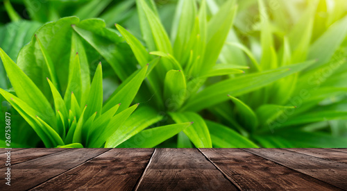 Spring background table. Gr...