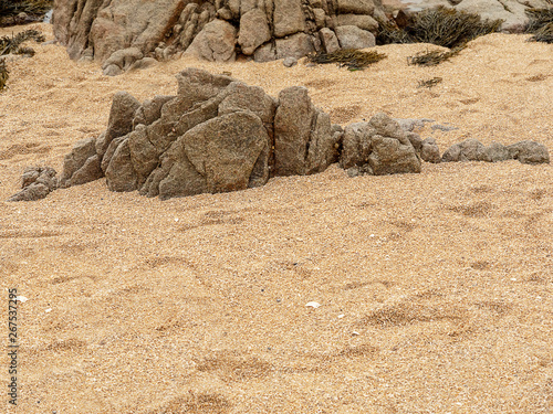 Rock formation on a sandy beach resembles dragon or mythical animal.