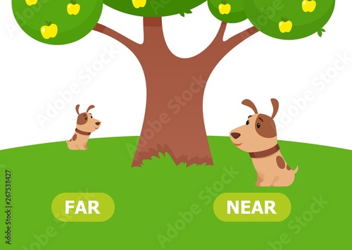 The puppy is near and far. Illustration of opposites near and far. Card for teaching aid, for a foreign language learning. Vector illustration on white background, cartoon style.