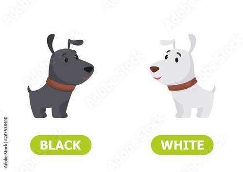 Illustration of opposites puppy black and white..Card for teaching aid, for a foreign language learning. Vector illustration on white background..