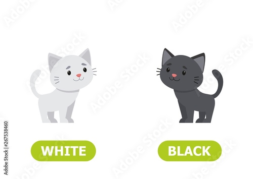 White and black kitten. Illustration of opposites black and white..Card for teaching aid, for a foreign language learning. Vector illustration on white background, cartoon style..