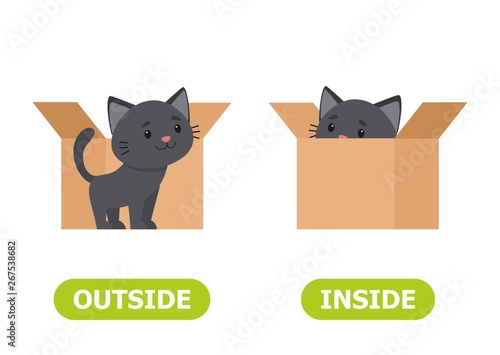 Kitten inside the box and outside. Illustration of opposites inside and outside..Card for teaching aid, for a foreign language learning. Vector illustration on white background, cartoon style..