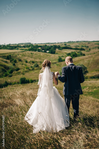 the bride and groom walk on the field with high grass, in the summer and hold hands