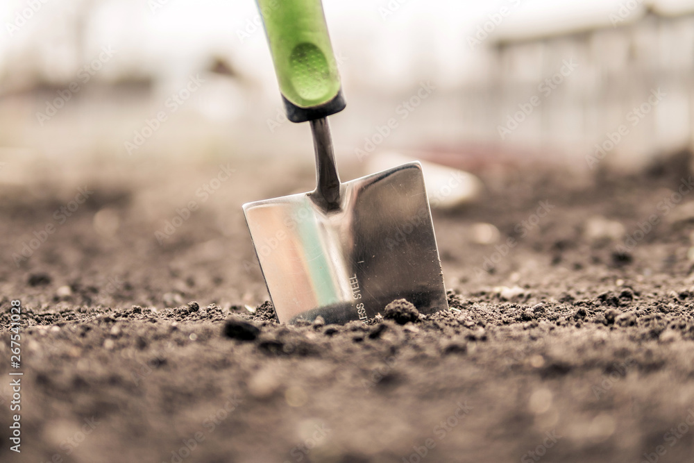 small shovel and soil in garden
