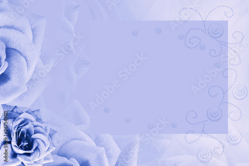 Floral light blue background. Blue  rose flower. Background for the postcard. Place for text. Nature. photo