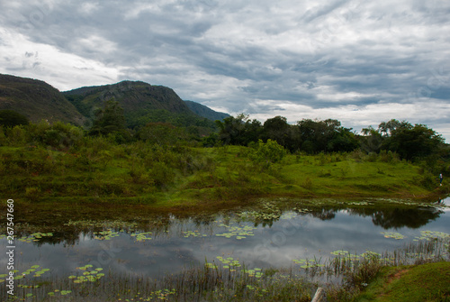 Beautiful view of coffee plantation in the state of Minas Gerais, Sao Joao Del Rei, Brazil photo