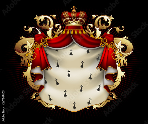 Heraldic shield with a crown and royal mantle, richly ornamented, on a black background. High detailed realistic illustration