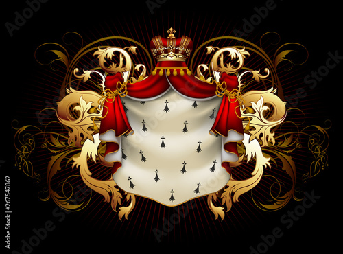 Heraldic shield with a crown and royal mantle, richly ornamented, on a black background. High detailed realistic illustration