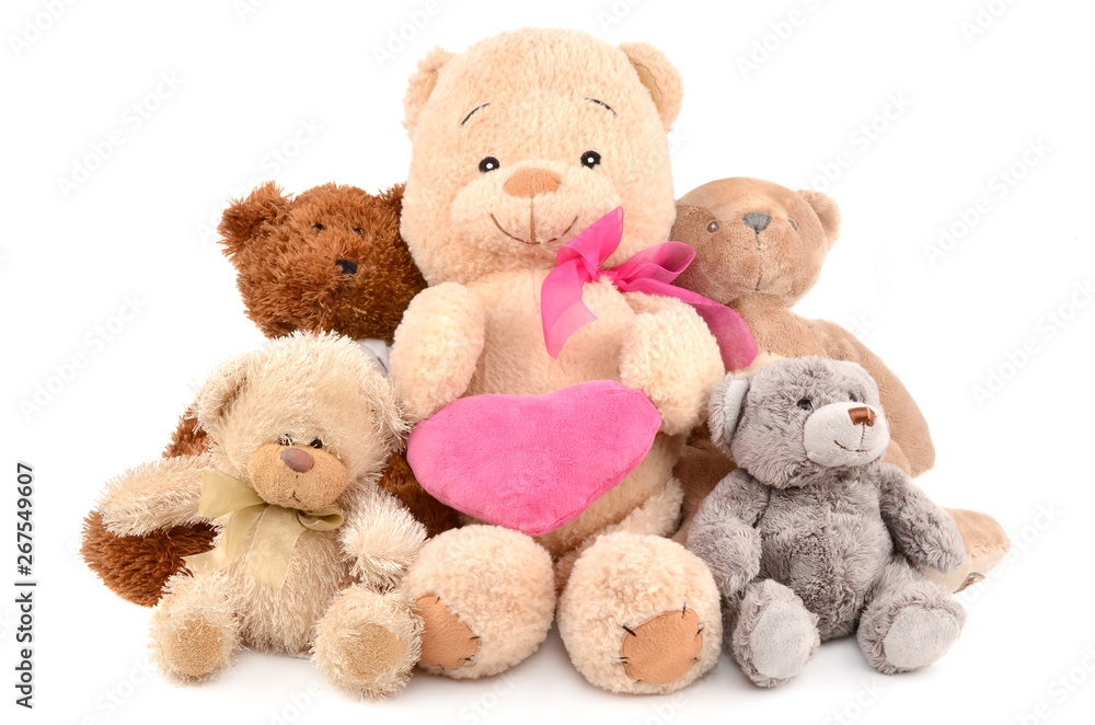 Fototapeta premium Teddy bears on white background
