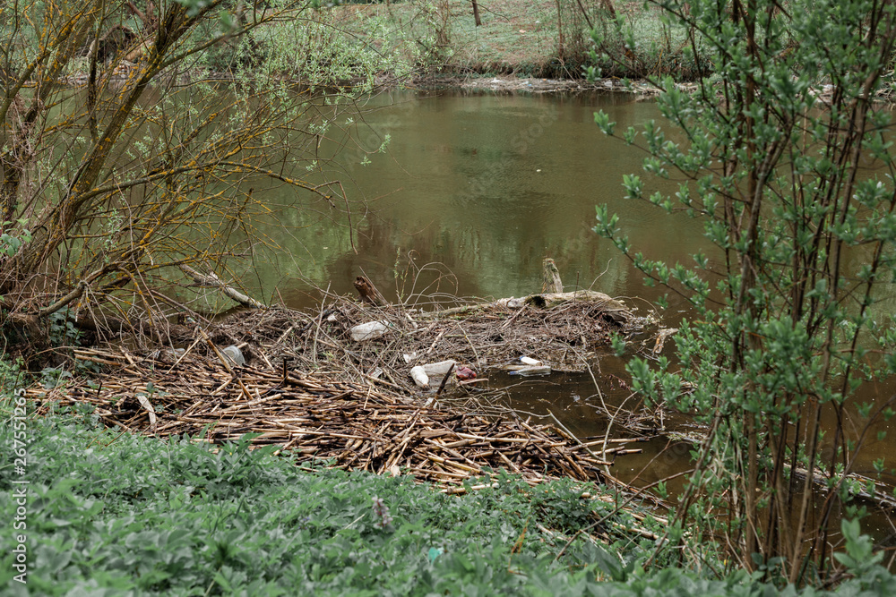 garbage plastic river Ukraine nature bottle dirt water trash waste garbage plastic river Ukraine nature bottle dirt water trash waste