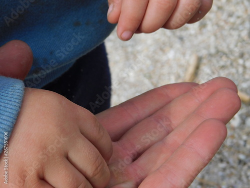  parent and child on the beach. hands macro