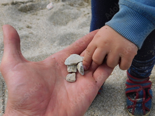  parent and child on the beach. hands macro