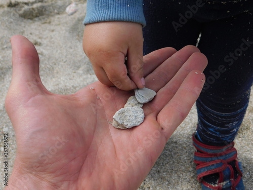  parent and child on the beach. hands macro