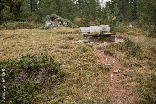 wooden bench inside a forest, no people around photo